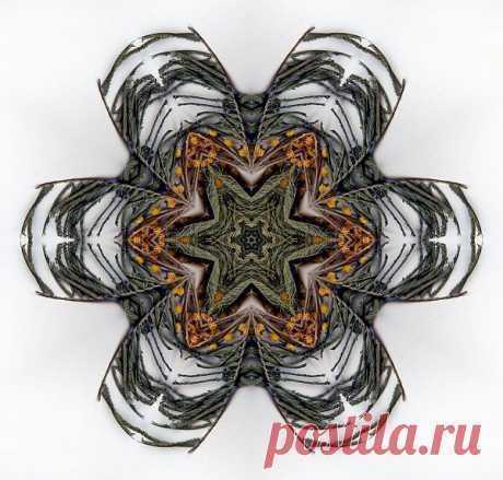 Digital Patterned Mandala  Free Stock Photo HD - Public Domain Pictures
