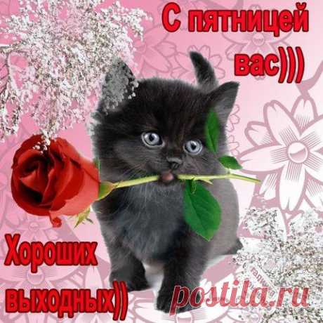 ♥♥♥ Ďฐéšš ♥ ∫lנøδนณลค ♥ Ťβŏค ♥♥♥
Россия, Москва
все её фото