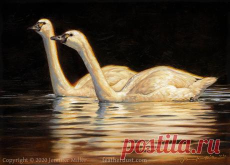 Two Lights on a Dark Water - Tundra Swans by Nambroth on DeviantArt