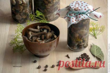 Опята маринованные. Рецепт, проверенный временем и поколениями. — Домашняя кулинария