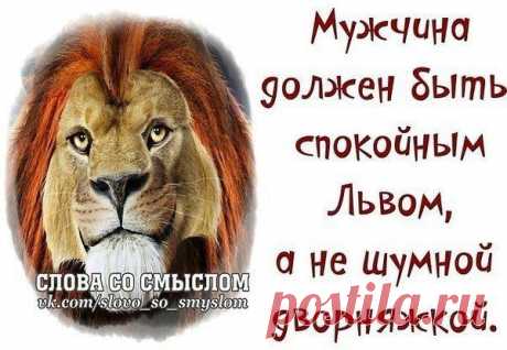 Интересные новости