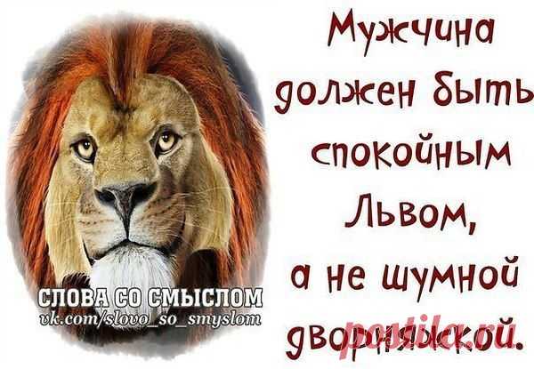 Интересные новости