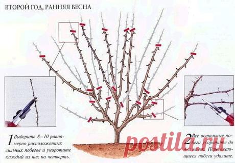 Одноклассники