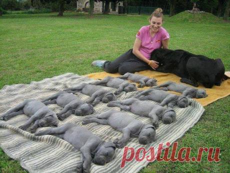 Одноклассники