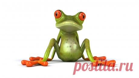 прикольные лягушки картинки: 19 тыс изображений найдено в Яндекс.Картинках