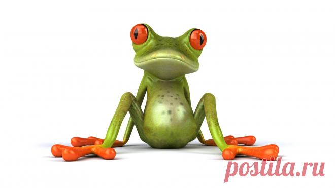 прикольные лягушки картинки: 19 тыс изображений найдено в Яндекс.Картинках