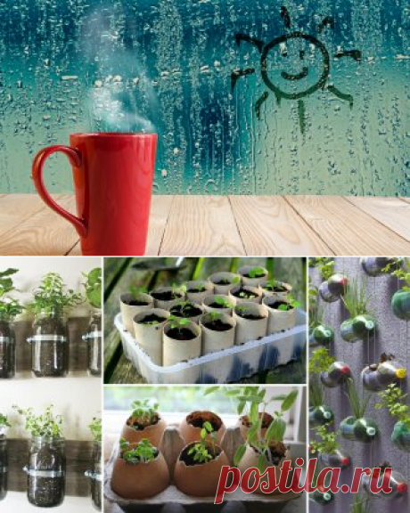 12 способов, как сделать горшочки для рассады своими руками | На грядке (Огород.ru)