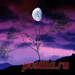 ПЕРИОДЫ ЛУНЫ БЕЗ КУРСА В ДЕКАБРЕ 2013 г..