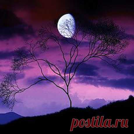 ПЕРИОДЫ ЛУНЫ БЕЗ КУРСА В ДЕКАБРЕ 2013 г..