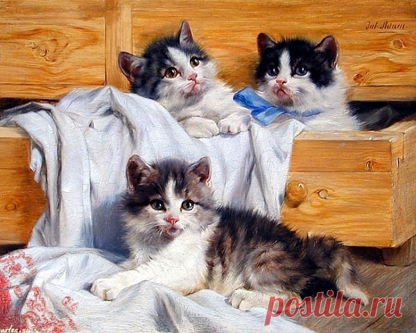 Приложение "Открытки"
Елена Кропылёва (Сидорина)