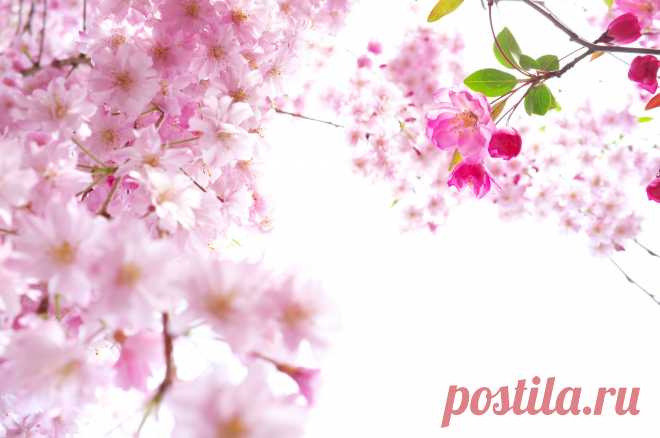 фоны для фотошопа высокого разрешения: 6 тыс изображений найдено в Яндекс.Картинках