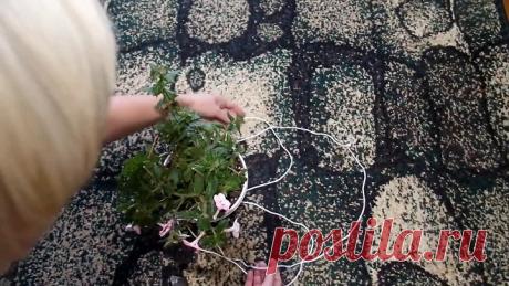 Как быстро подвесить горшок ? Кашпо своими руками за 30 секунд!