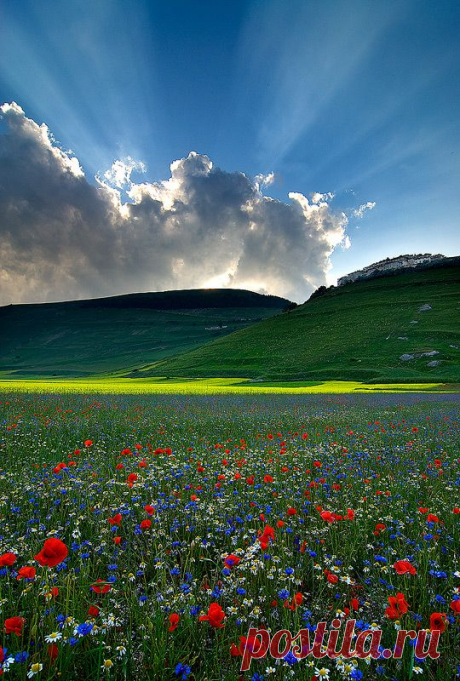 Godlight. Castelluccio di Norcia, Umbria, Italy.  |  Pinterest: инструмент для поиска и хранения интересных идей