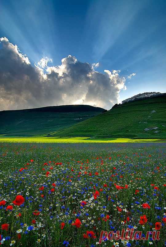 Godlight. Castelluccio di Norcia, Umbria, Italy.  |  Pinterest: инструмент для поиска и хранения интересных идей
