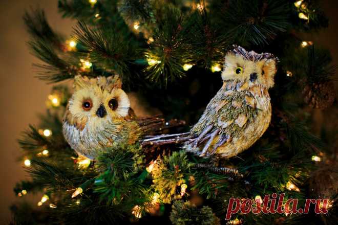 новогодние совушки