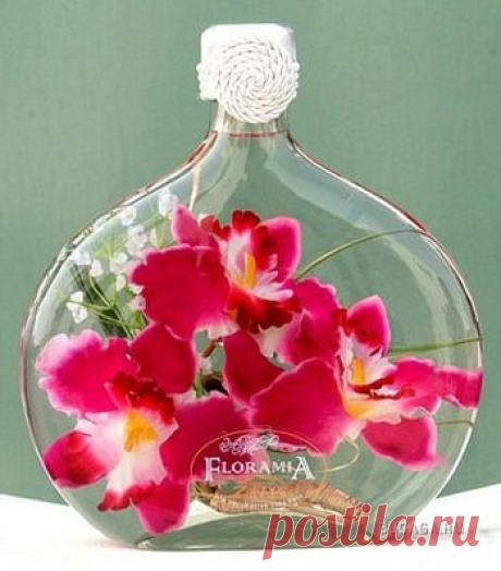 Консервирование цветов в бутылках