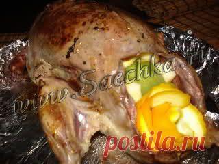 Утка с фруктами | рецепты на Saechka.Ru