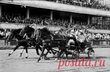 24 марта 1917 года вышло постановление, запрещающее работу всех игорных заведений на территории Советской России. С переменными послаблениями, азартные развлечения в СССР долгие годы были под жестким запретом. Ошибочно думать, что игорные дома и притоны исчезли полностью: они ушли в подполье, образовав целую сеть теневой экономики СССР.