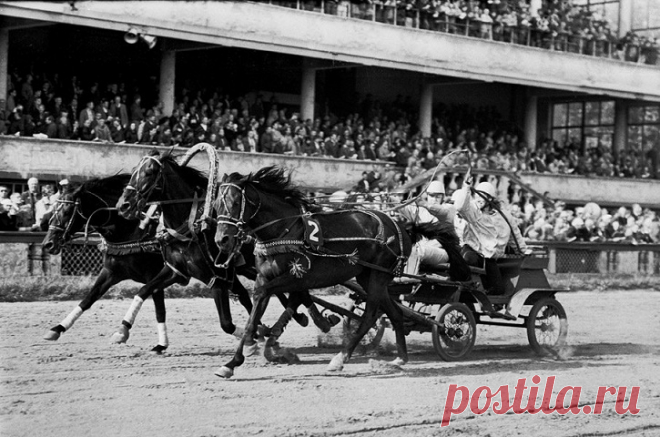 24 марта 1917 года вышло постановление, запрещающее работу всех игорных заведений на территории Советской России. С переменными послаблениями, азартные развлечения в СССР долгие годы были под жестким запретом. Ошибочно думать, что игорные дома и притоны исчезли полностью: они ушли в подполье, образовав целую сеть теневой экономики СССР.