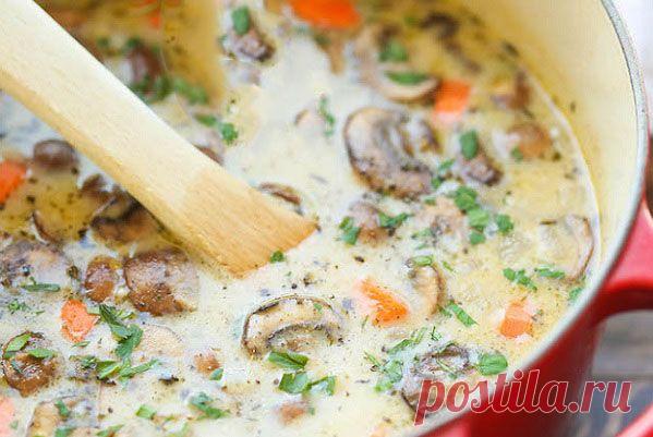 Дневник Nikash. Куриный сливочный суп. Вкусно. Легко.