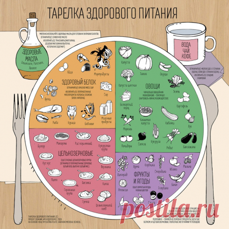 Гарвардская тарелка - принципы правильного питания