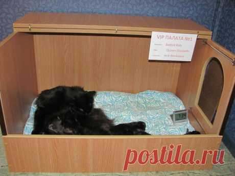 (69) Одноклассники