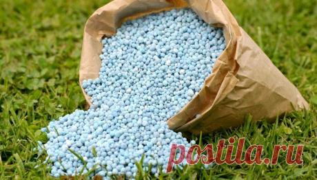 Подкормки: восполняем дефицит элементов питания