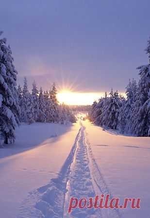 Tracks in the snow at sunset in Solberget, Lapland, northern Sweden   |   Pinterest • Всемирный каталог идей