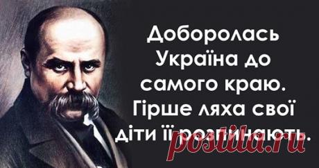 22 вічно актуальні цитати Тараса Шевченка Не всі знають, що Тарас Шевченко був не тільки великим поетом і художником, а також революціонером-демократом. Батьки його померли ра...