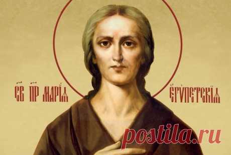 (6) Мой Мир@Mail.Ru