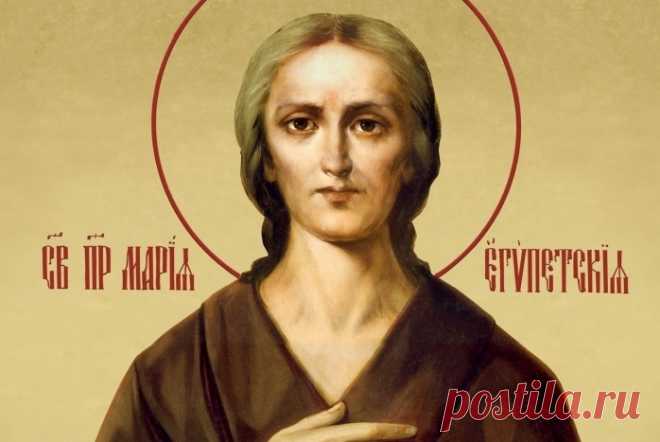 (6) Мой Мир@Mail.Ru