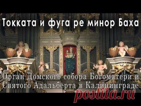 Токката и фуга ре минор Иоганна Баха. Орган кафедрального собора Калининграда. Играет Мансур Юсупов.