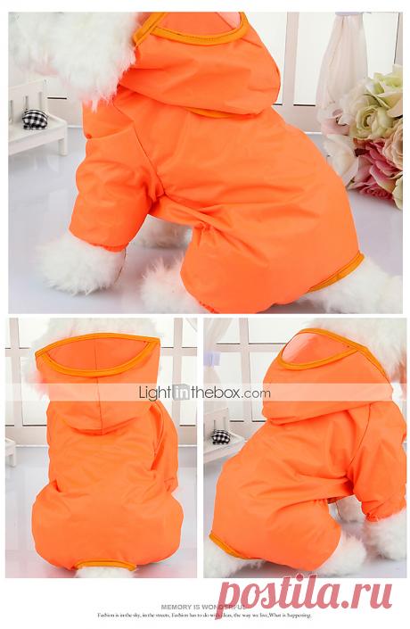 Собака Дождевик Одежда для собак Водонепроницаемый Сплошной цвет Желтый Красный Зеленый Синий Розовый 5531733 2017 – €543.26