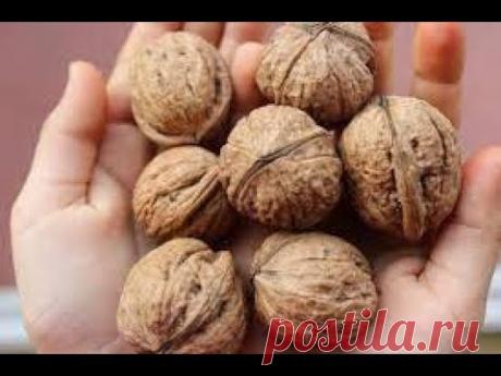 Грецкие орехи, машина для колки орехов.Маринкины творинки. Всем МИРА и Добра!