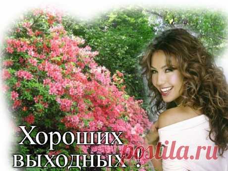 i (604×453)