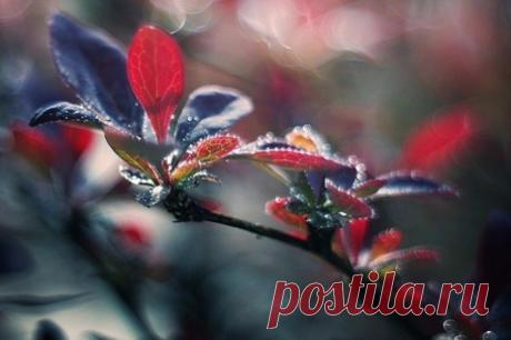 Фото красивые, коллекция фотографий, фотки, скачать фото, фотографии
