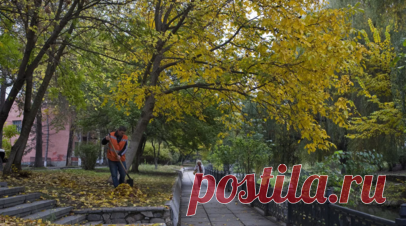 В Москве усилили работу по очистке дорог от листвы. В Москве станут чаще подметать дороги от опавшей листвы с целью обеспечения безопасности дорожного движения. Частоту уборок увеличили с двух до четырёх раз в день. Читать далее
