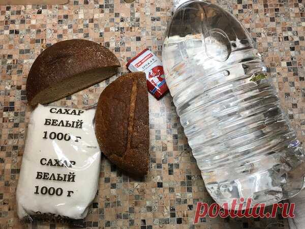 Покусанный алкашами: готовим самый убойный квас | Гастрономическая Шизофрения | Яндекс Дзен