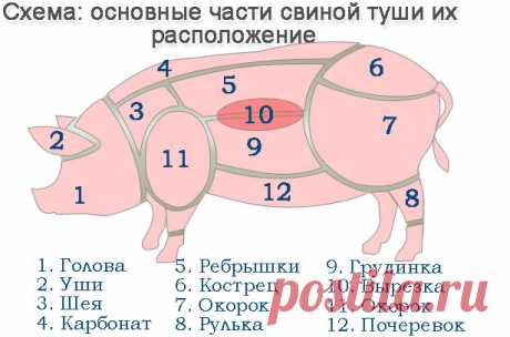 Разделка свиньи в домашних условиях, схемы, части туши