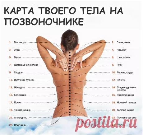 мануальная терапия польза надпись: 7 тыс изображений найдено в Яндекс.Картинках