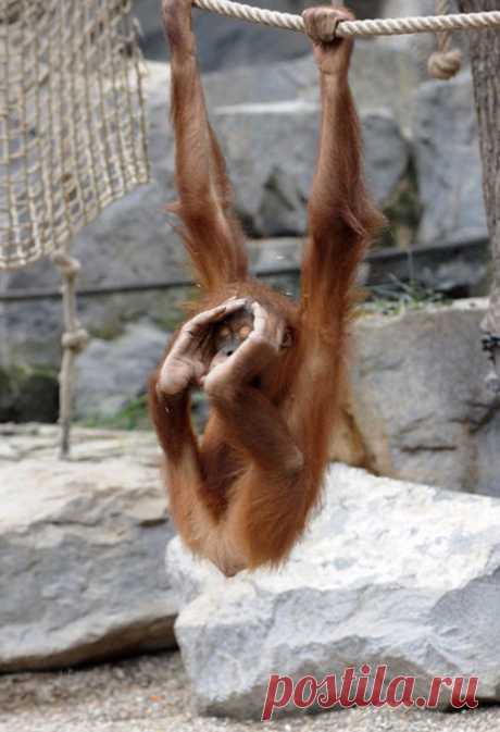 Супер кадр из интернета !