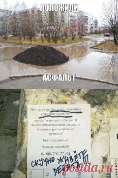 (3) Одноклассники