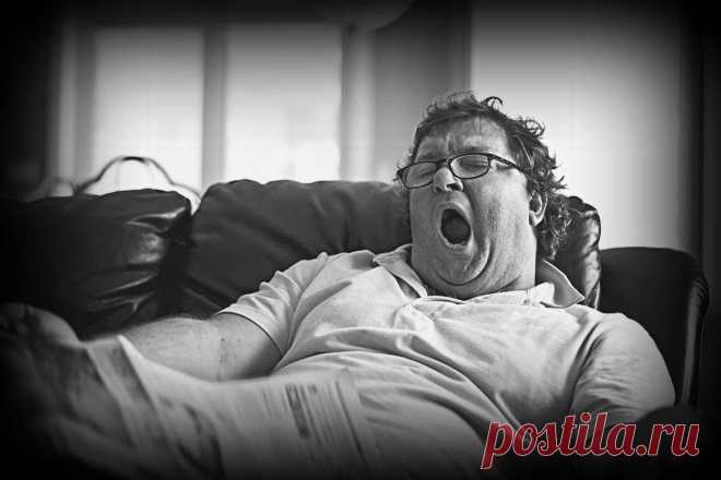 Дайте мне средство от лени
А ещё от пищевого идиотизма! А можно я буду лежать на диване, нацеплю на себя какой-нибудь чудо пояс, и он будет качать кубики пресса? А можно похудеть на 10 кг за неделю, без спорта и диет? А можно есть всё подряд, и при этом не болеть, не толстеть? А можно я ничего не буду делать, […]
Читай пост далее на сайте. Жми ⏫ссылку выше