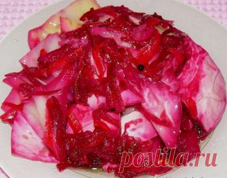 Капуста по корейски — Сад Заготовка