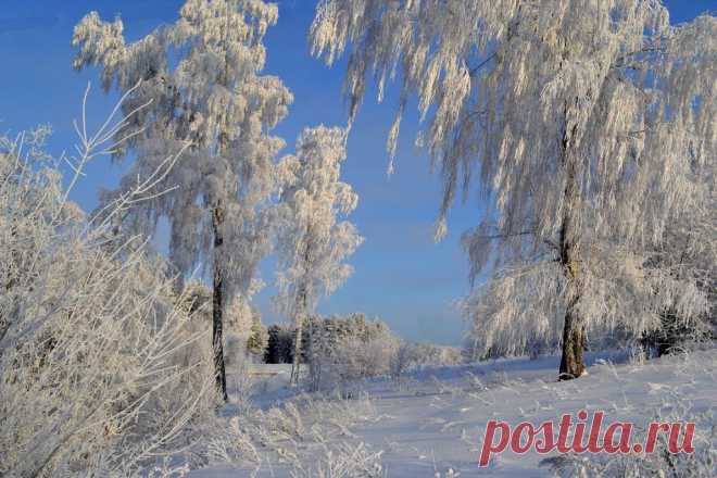 ФОТОМАСТЕРСКАЯ ПРИРОДЫ
Валентина Кобцева