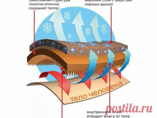 Комплект мужской Армата до -30°C - Интернет-магазин термобелья