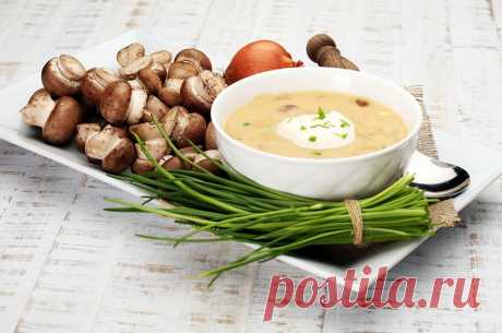 Грибной крем суп: самые вкусные и простые рецепты - cosmo.com.ua