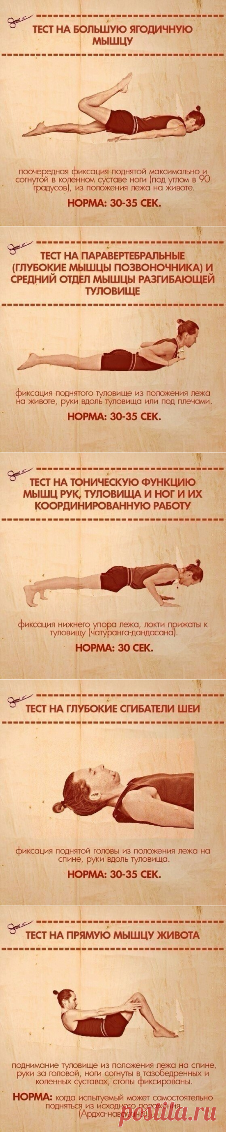 ТЕСТЫ НА ФУНКЦИОНАЛЬНУЮ СЛАБОСТЬ МЫШЦ