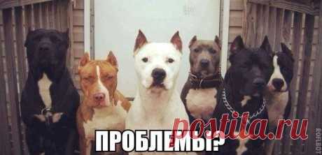 Сохранённые фотографии | 133 фотографии