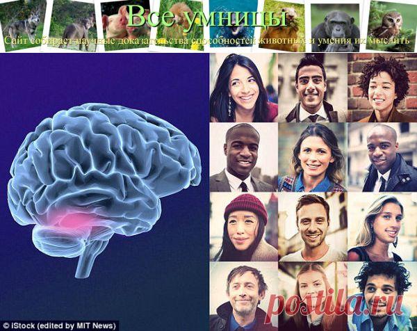 Обезьяны различают лица мужчин и женщин | Все умницы
Оптогенетика помогла выяснить, как приматы, обезьяны и человек, могут распознавать лица и как им удается отличить мужчину от женщины 
http://vse-umnici.ru/obezyany-razlichayut-lica-muzhchin-i-zhenshhin/